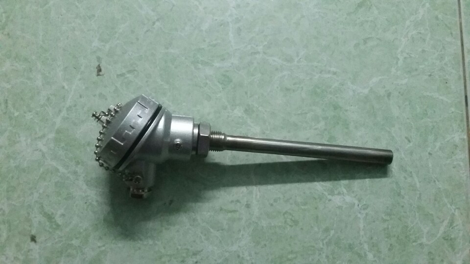 Dầu dò CA củ hành